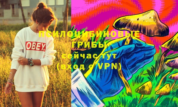MDMA Premium VHQ Белокуриха