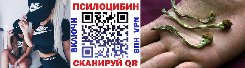 Галлюциногенные грибы Cubensis  кракен сайт  Жирновск 